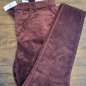 Loft, velour high rise skinny pants. NWT